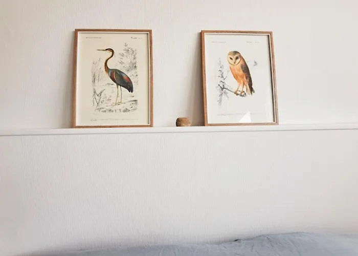 Le Petit Apartment Royan