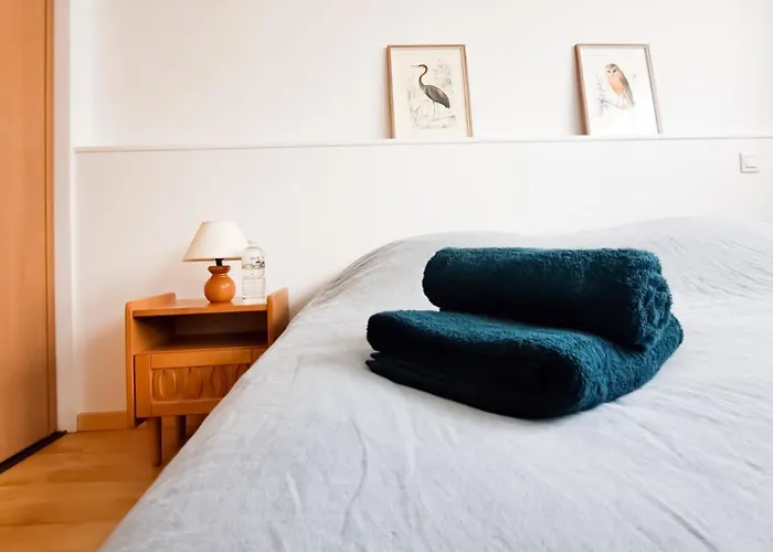 Le Petit - Hyper Centre Ville, 2 Min De La Et Des Commerces رويا